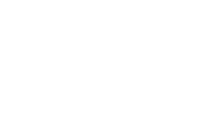 Orbzzo & Company